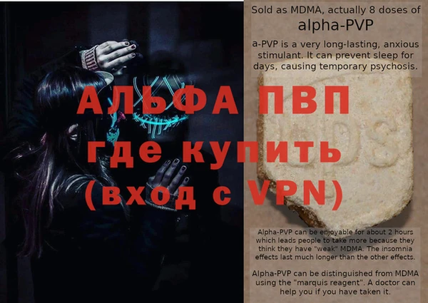 эйфоретик Баксан