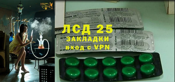 эйфоретик Баксан